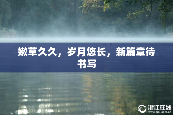 嫩草久久，岁月悠长，新篇章待书写