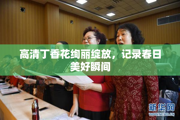 高清丁香花绚丽绽放，记录春日美好瞬间