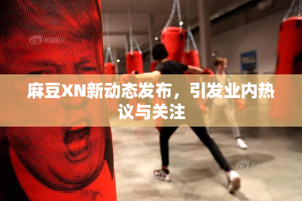 麻豆XN新动态发布，引发业内热议与关注