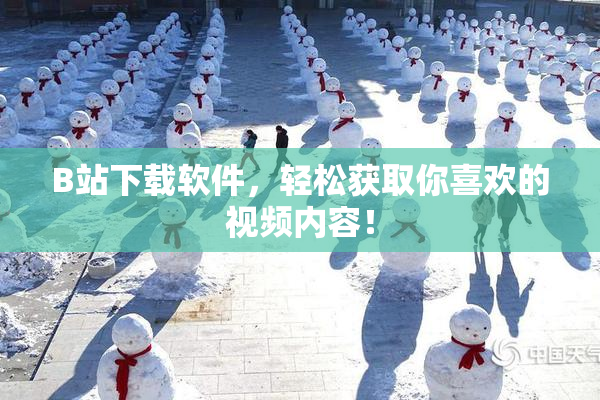 B站下载软件，轻松获取你喜欢的视频内容！