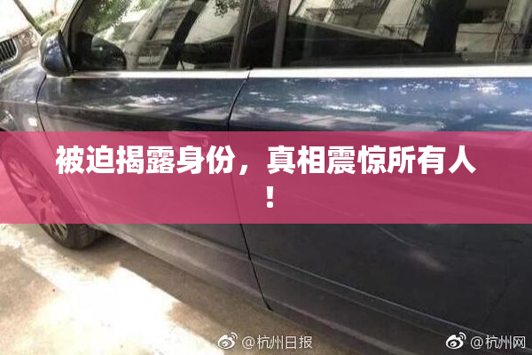 被迫揭露身份，真相震惊所有人！