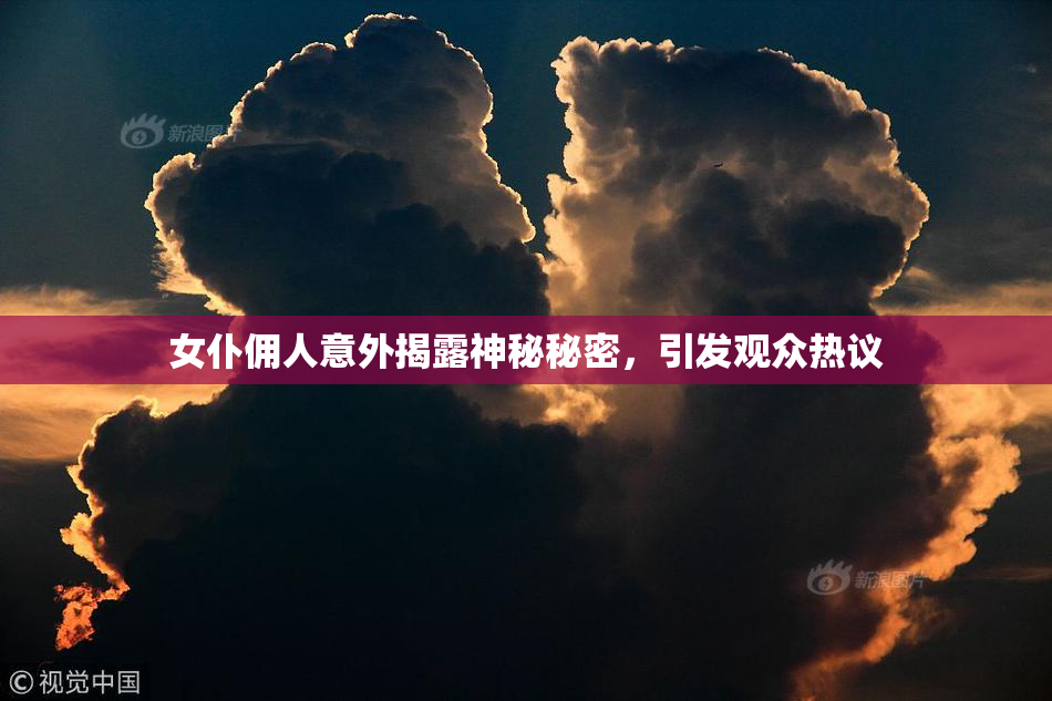 女仆佣人意外揭露神秘秘密，引发观众热议