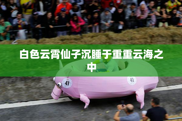 白色云霄仙子沉睡于重重云海之中