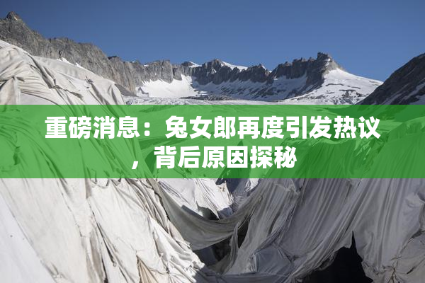 重磅消息：兔女郎再度引发热议，背后原因探秘