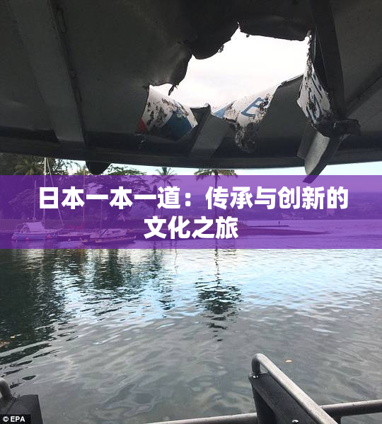 日本一本一道：传承与创新的文化之旅