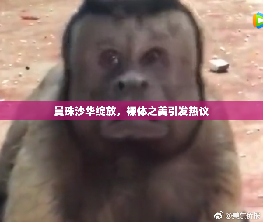 曼珠沙华绽放，裸体之美引发热议