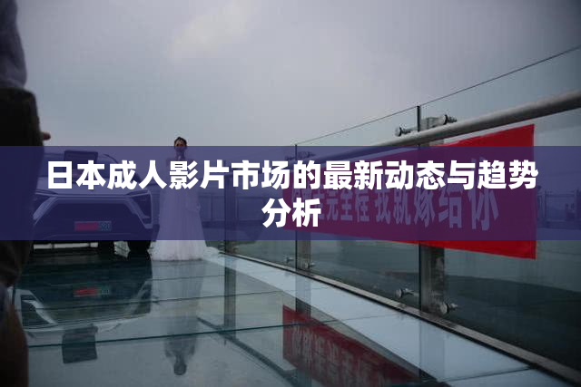 日本成人影片市场的最新动态与趋势分析