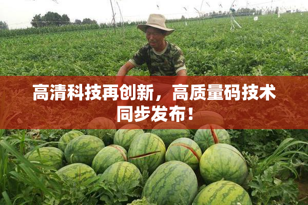 高清科技再创新，高质量码技术同步发布！