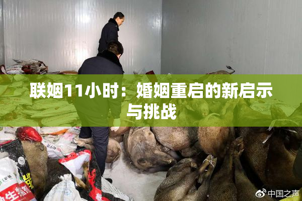 联姻11小时：婚姻重启的新启示与挑战