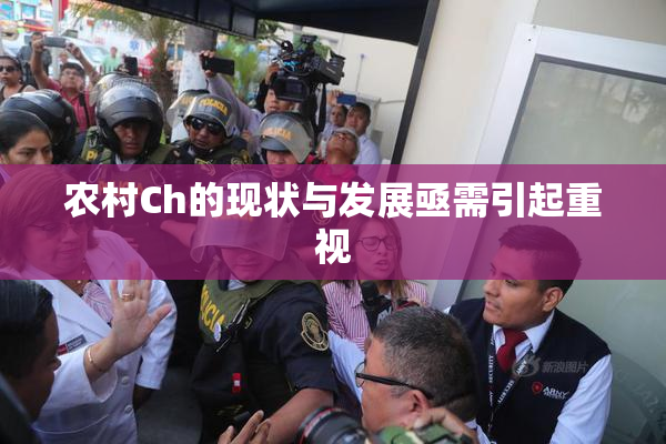 农村Ch的现状与发展亟需引起重视