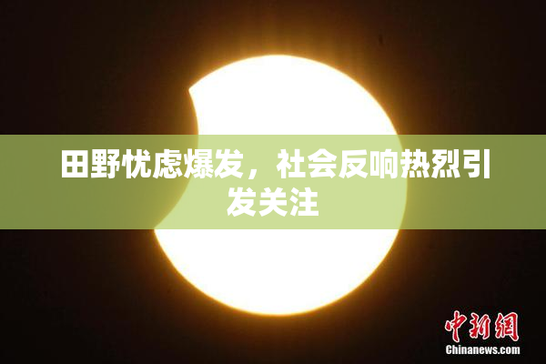 田野忧虑爆发，社会反响热烈引发关注