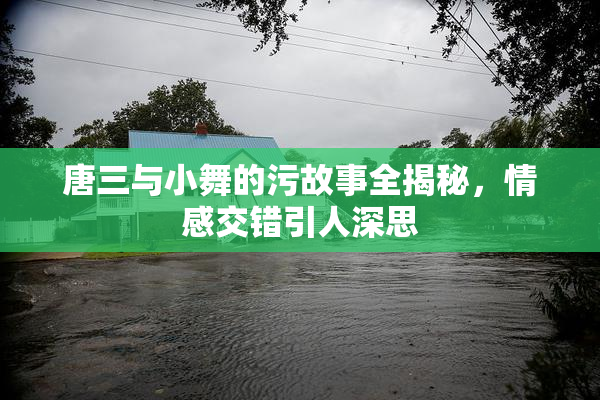 唐三与小舞的污故事全揭秘，情感交错引人深思