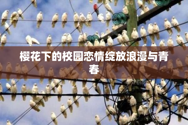 樱花下的校园恋情绽放浪漫与青春