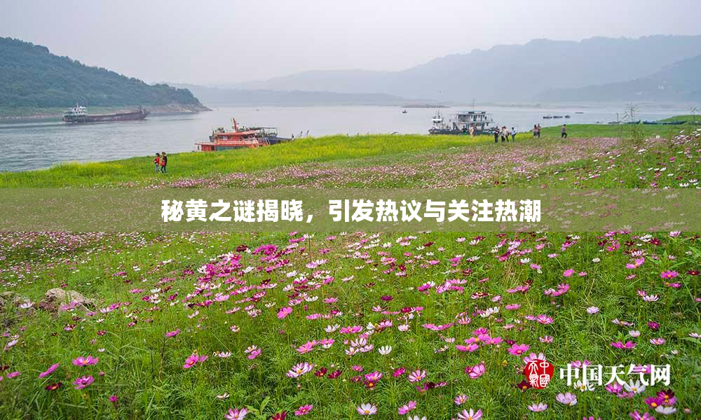 秘黄之谜揭晓，引发热议与关注热潮