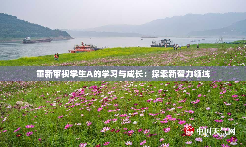 重新审视学生A的学习与成长：探索新智力领域