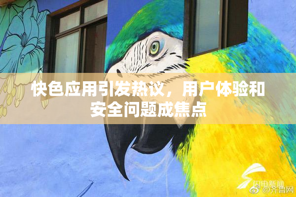 快色应用引发热议，用户体验和安全问题成焦点