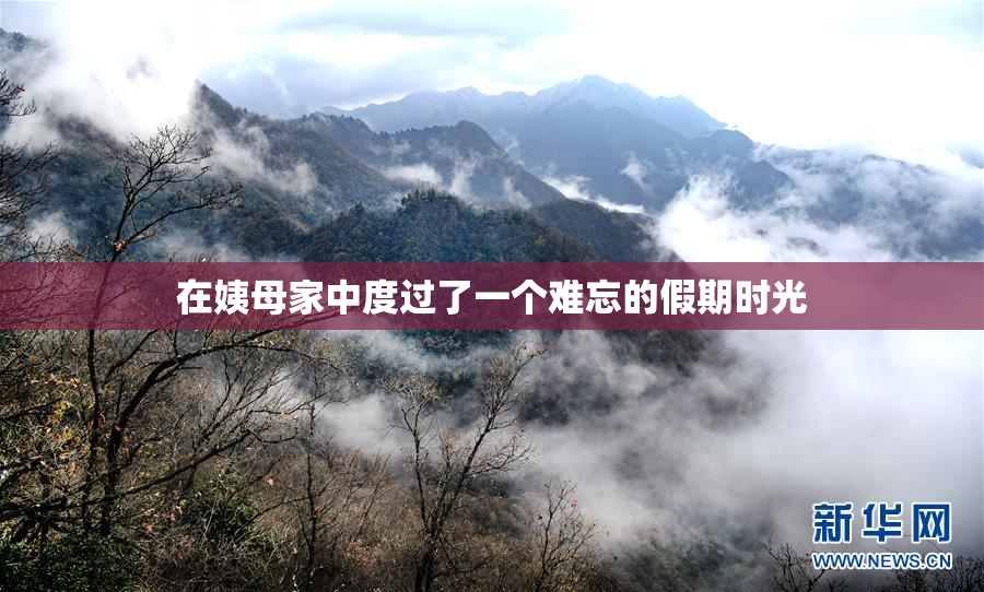 在姨母家中度过了一个难忘的假期时光