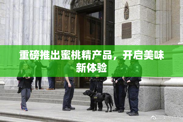 重磅推出蜜桃精产品，开启美味新体验
