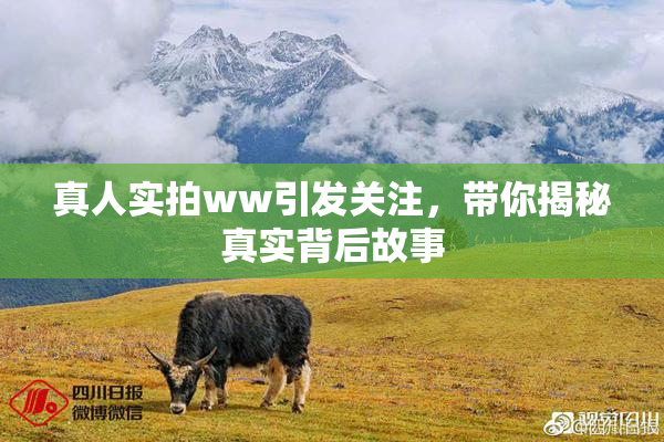 真人实拍ww引发关注，带你揭秘真实背后故事