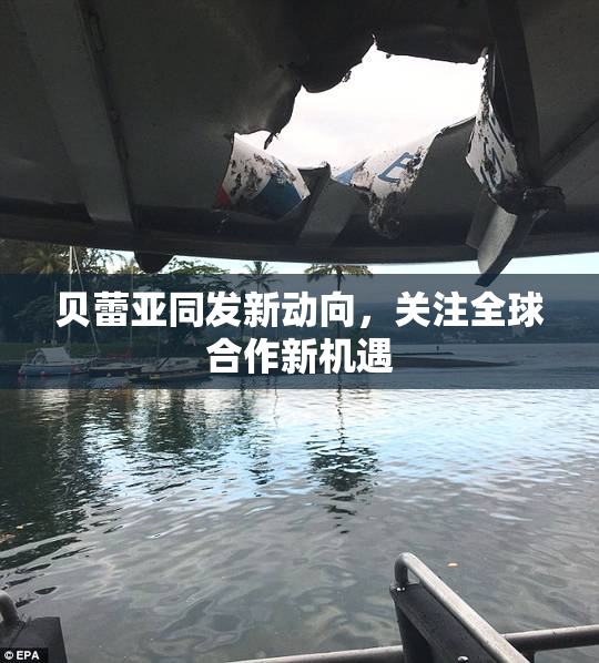 贝蕾亚同发新动向，关注全球合作新机遇