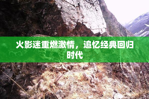 火影迷重燃激情，追忆经典回归时代