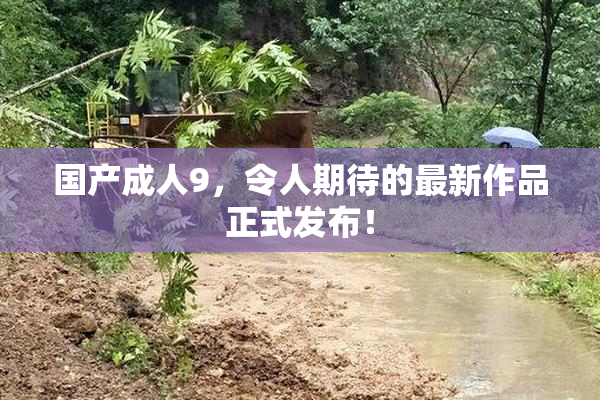 国产成人9，令人期待的最新作品正式发布！