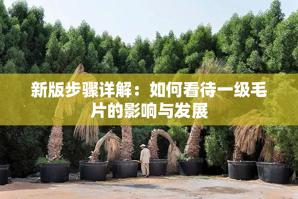 新版步骤详解：如何看待一级毛片的影响与发展