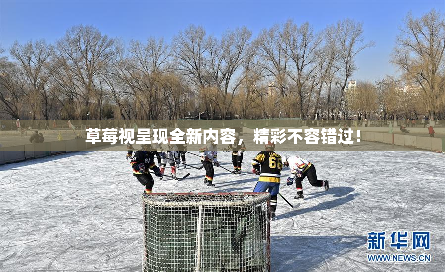 草莓视呈现全新内容，精彩不容错过！