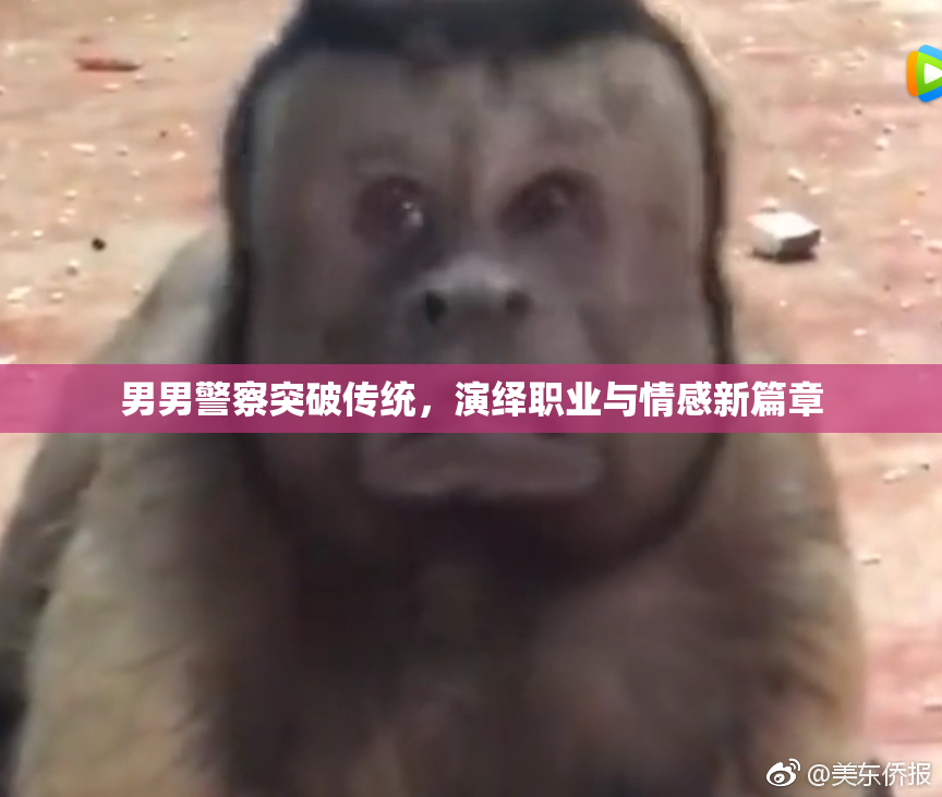 男男警察突破传统，演绎职业与情感新篇章