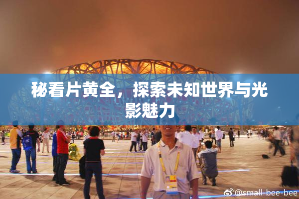 秘看片黄全，探索未知世界与光影魅力