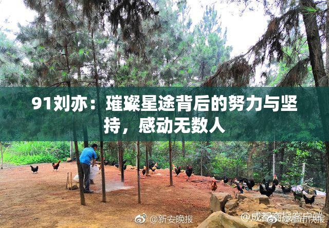 91刘亦：璀璨星途背后的努力与坚持，感动无数人