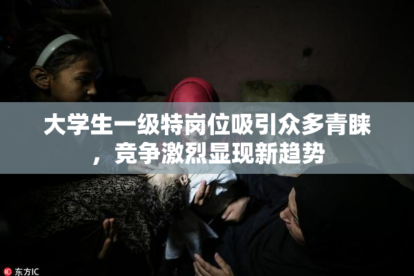 大学生一级特岗位吸引众多青睐，竞争激烈显现新趋势
