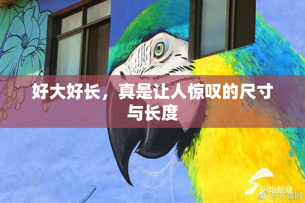 好大好长，真是让人惊叹的尺寸与长度