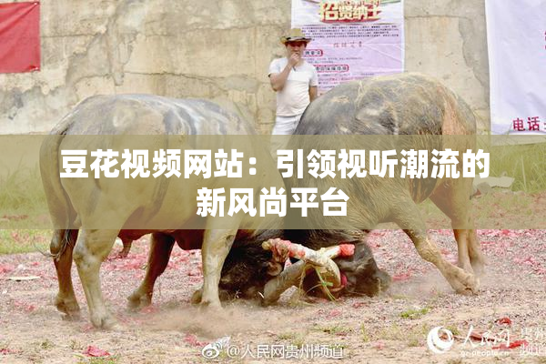 豆花视频网站：引领视听潮流的新风尚平台