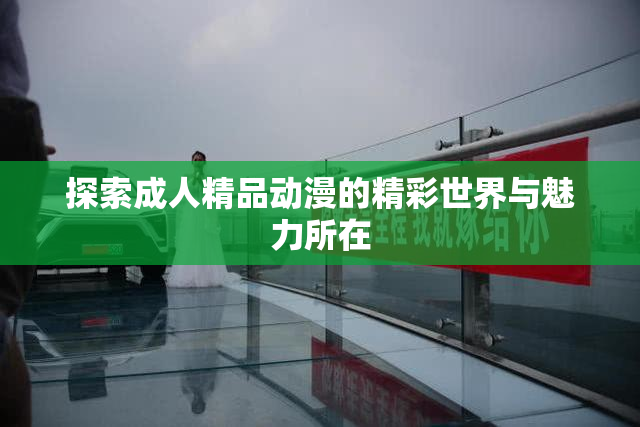 探索成人精品动漫的精彩世界与魅力所在