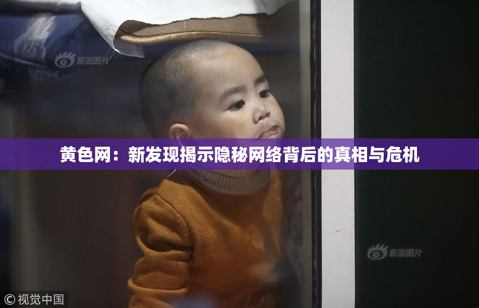 黄色网：新发现揭示隐秘网络背后的真相与危机