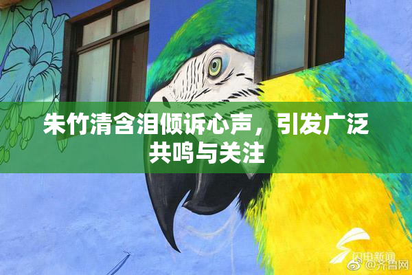 朱竹清含泪倾诉心声，引发广泛共鸣与关注