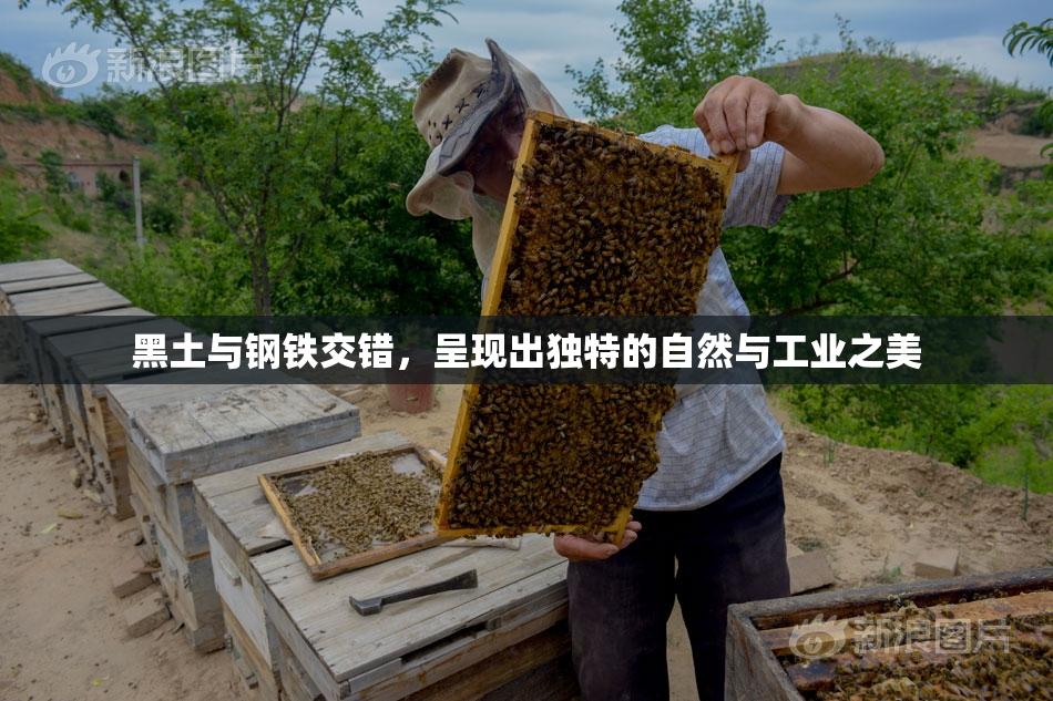 黑土与钢铁交错，呈现出独特的自然与工业之美