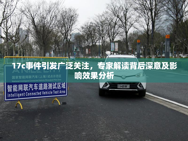 17c事件引发广泛关注，专家解读背后深意及影响效果分析
