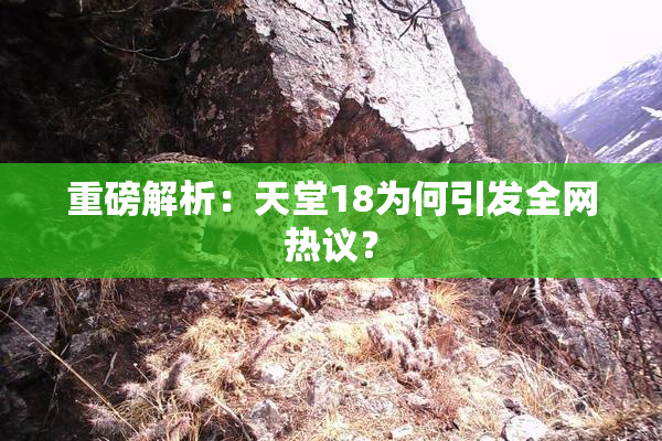重磅解析：天堂18为何引发全网热议？