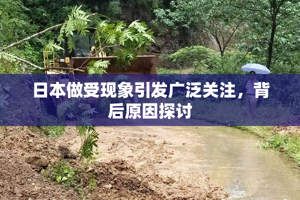 日本做受现象引发广泛关注，背后原因探讨