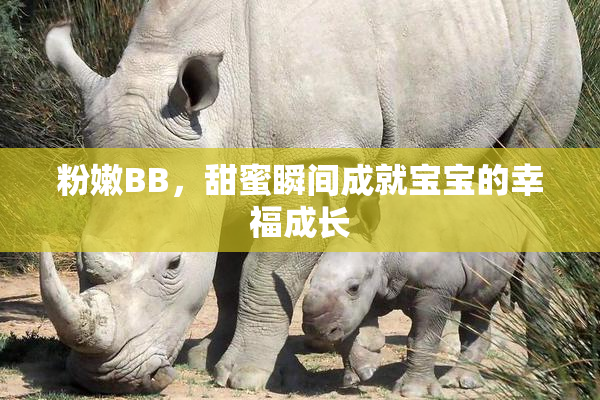 粉嫩BB，甜蜜瞬间成就宝宝的幸福成长