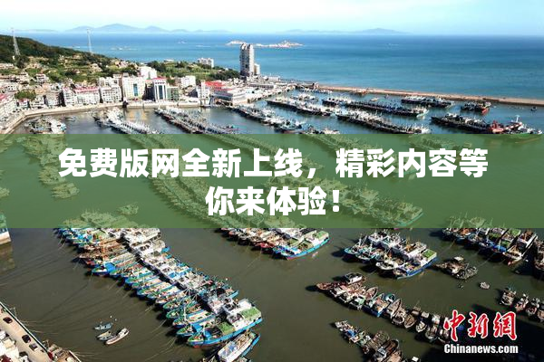 免费版网全新上线，精彩内容等你来体验！