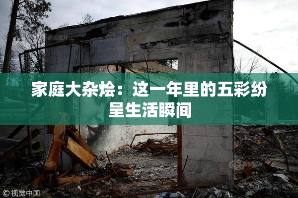 家庭大杂烩：这一年里的五彩纷呈生活瞬间