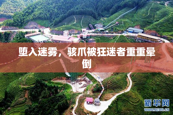 堕入迷雾，骇爪被狂迷者重重晕倒