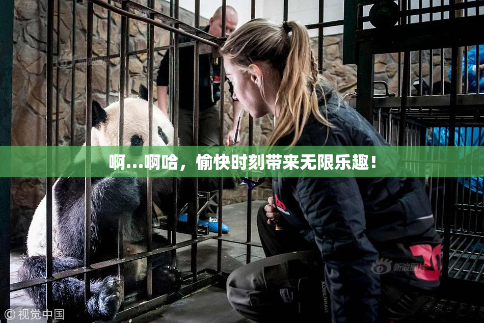 啊…啊哈，愉快时刻带来无限乐趣！