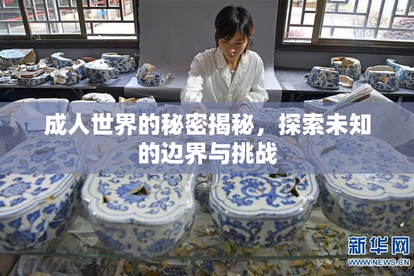 成人世界的秘密揭秘，探索未知的边界与挑战