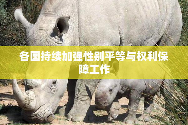 各国持续加强性别平等与权利保障工作