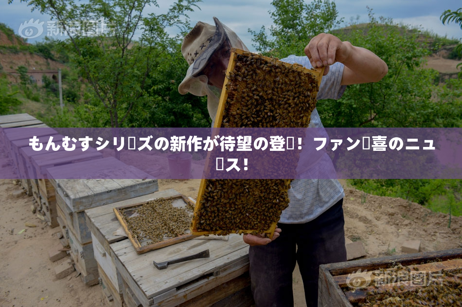 もんむすシリーズの新作が待望の登場！ファン歓喜のニュース！