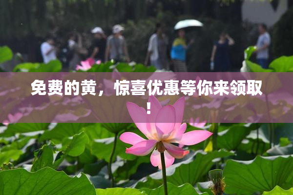 免费的黄，惊喜优惠等你来领取！